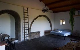 Il palmento di Beppe